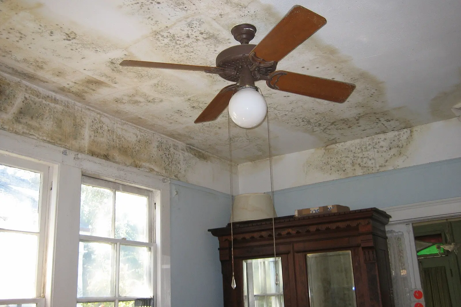 Mold spreading across a bedroom ceiling after storm leaks