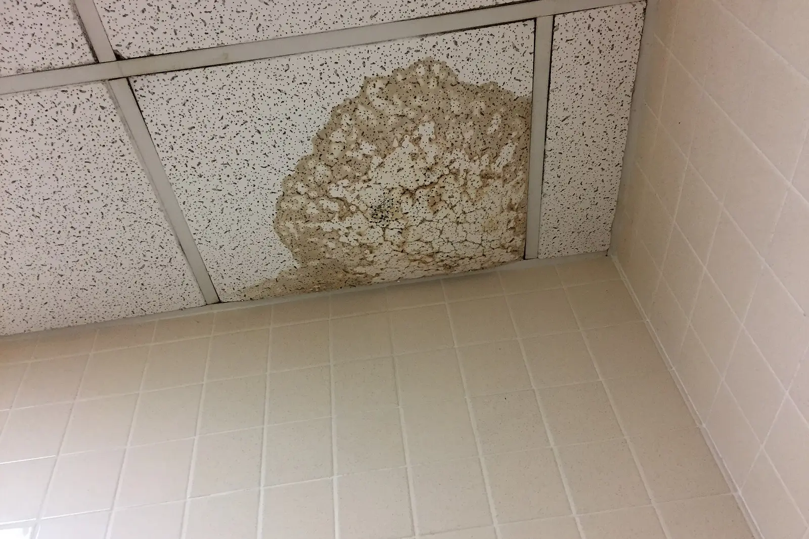 Ceiling panel stained by water from a leaking pipe